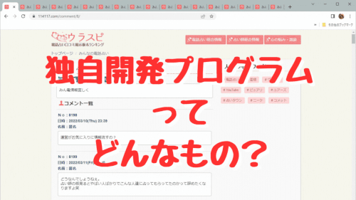 独自開発プログラムの説明
