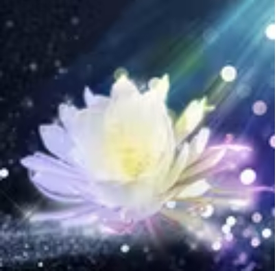 涼花（スズカ）先生プロフィール