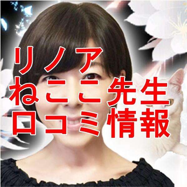 電話占いリノア ねここ先生 口コミ・評判